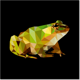 Frog Posters and Art